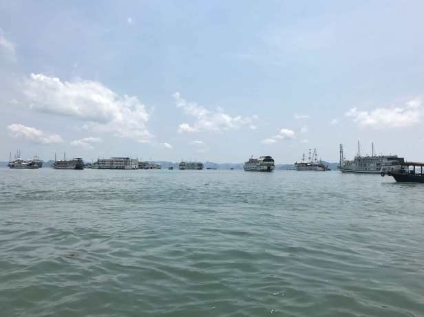 Halong1