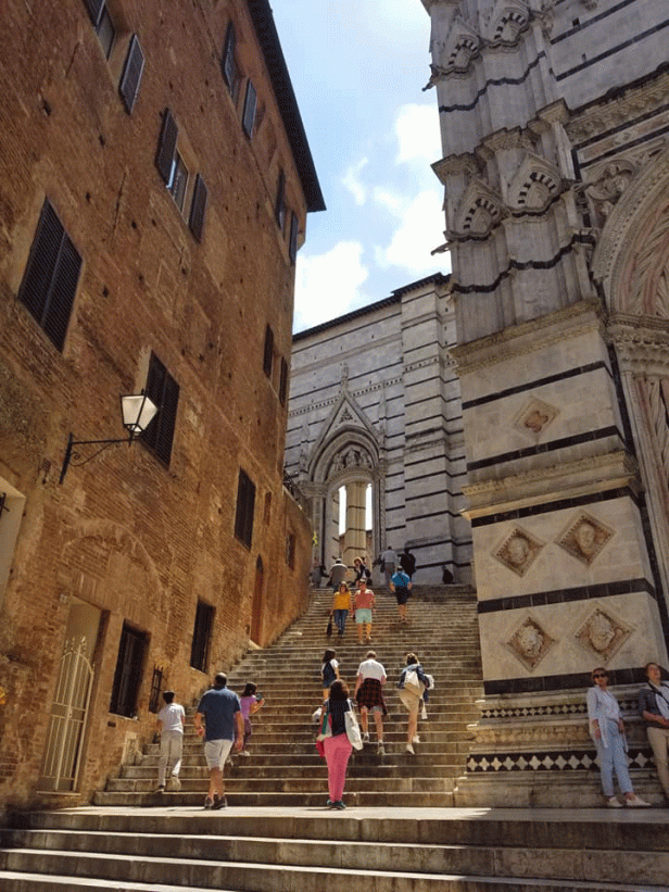 Siena1